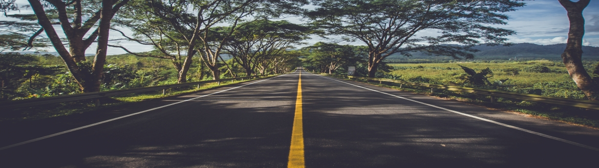 asphalt-road-grass